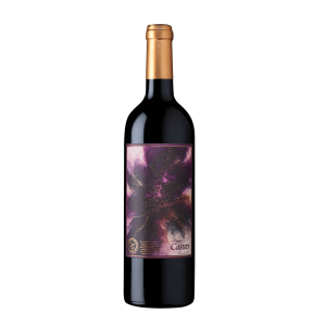 Castets 2025